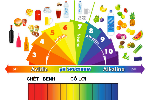 Độ pH là gì? Cách tính độ pH & Độ pH của một số dung dịch