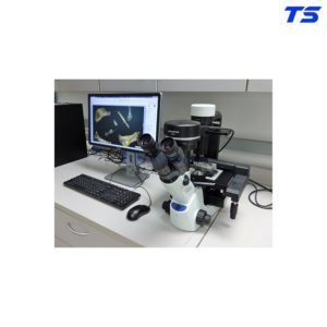cung-cap-kinh-hien-vi-CKX60-olympus-phong-lab