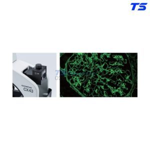 dai-ly-kinh-hien-vi-olympus-cx43-chinh-hang