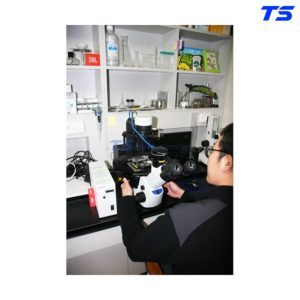 mua-kinh-hien-vi-CKX53-olympus-o-tphcm