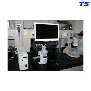 mua-kinh-hien-vi-CKX53-olympus-tot-o-dau