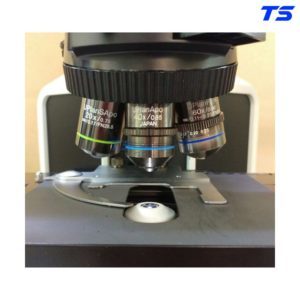 mua-kinh-hien-vi-cx53-olympus-o-tphcm