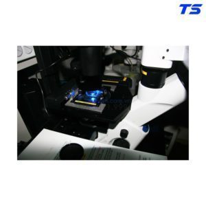 noi-ban-kinh-hien-vi-CKX53-olympus-loai-tot