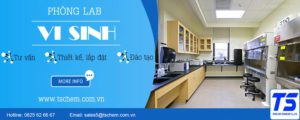 phòng lab