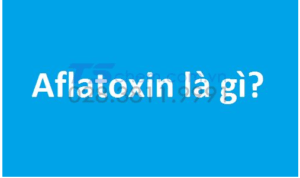AFLATOXIN