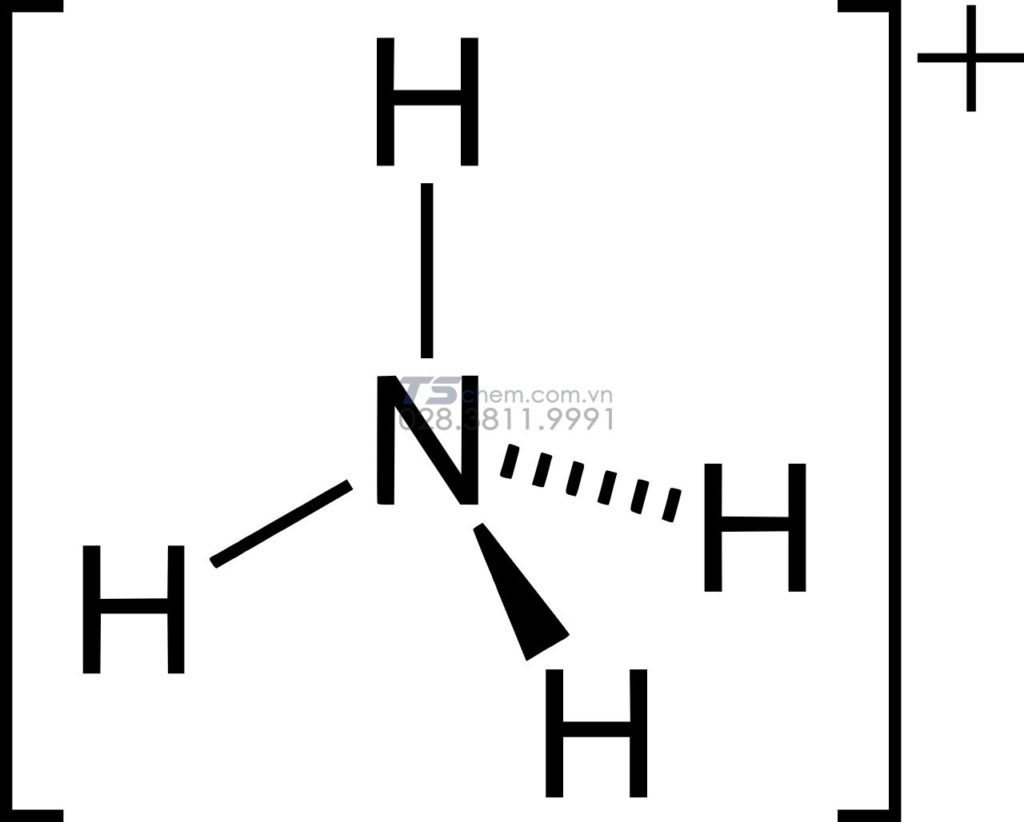 Cấu tạo phân tử NH4