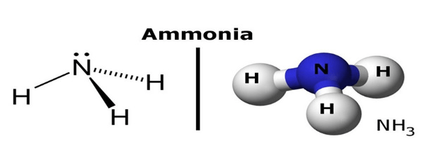 Amoniac là gì ? Tính chất, ứng dụng & tác hại của amoniac