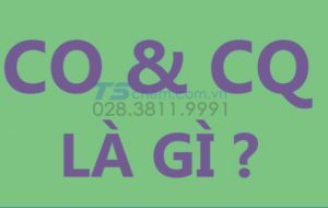 CO CQ LÀ GÌ