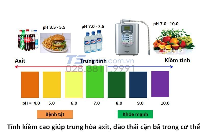 Công dụng của môi trường kiềm trong cơ thể