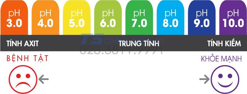 Môi trường kiềm là gì