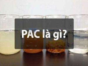 PAC LÀ GÌ