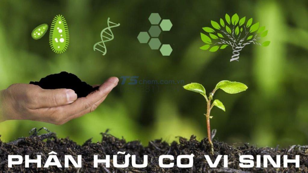 PH N HỮU CƠ VI SINH LÀ GÌ? CÁC LOẠI PH N HỮU CƠ VI SINH - TÁC DỤNG VÀ LƯU Ý KHI SỬ DỤNG PH N BÓN HỮU CƠ VI SINH ĐỂ ĐẠT HIỆU QUẢ CAO