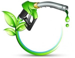 XĂNG SINH HỌC VÀ NHỮNG ĐIỀU THÚ VỊ KHÔNG NÊN BỎ QUA