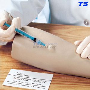 Mô Hình Tiêm Trong Da - 1005628 - 3B