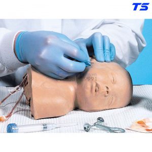 Mô Hình Tiêm Truyền Tĩnh Mạch Đầu Trẻ Em - 1005630 - 3B