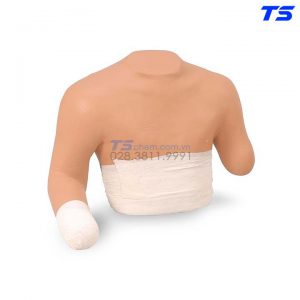 Mô Hình Băng Bó Vết Thương Cắt Cụt Chi Trên - 1005680 - 3B
