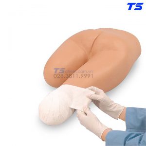 Mô Hình Băng Bó Vết Thương Cắt Cụt Chi Dưới - 1005681 - 3B