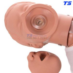 Mô Hình Thực Hành Cấp Cứu Lấy Dị Vật Đường Thở Trẻ Em - 1005733 - 3B