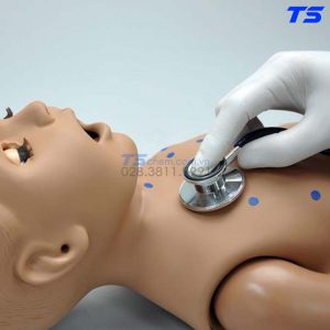 Mô Hình Thực Hành Nghe Tim Phổi Trẻ Em 1 Tuổi Cơ Bản - 1013899 - 3B