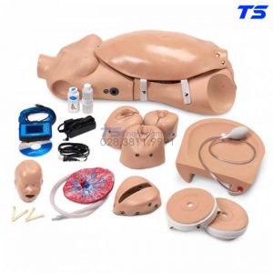 Mô Hình Thực Hành Thăm Khám Thai, Nghe Tim Thai Và Đỡ Đẻ - 1015567 - 3B
