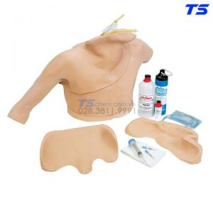 Mô Hình Đặt Catheter Tĩnh Mạch Trung Tâm Từ Ngoại Biên Người Lớn - 1017260 - 3B