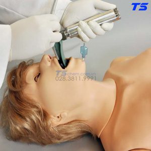 Mô Hình Điều Dưỡng Đa Năng Chuyên Sâu Có Monitoring Theo Dõi - 1017533 - 3B
