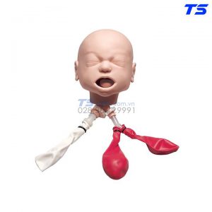 Mô Hình Thực Hành Đặt Nội Khí Quản Trẻ Sơ Sinh - 1017954 - 3B