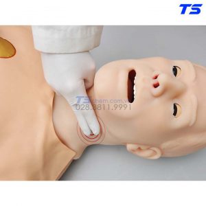 Mô Hình Cpr Đặt Nội Khí Quản, Mở Khí Quản Điện Tử - 1018867 - 3B