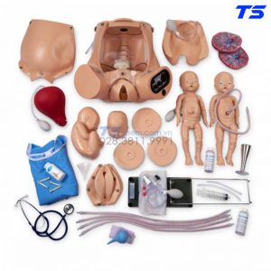 Mô Hình Doppler Nghe Tim Thai - 1019303 - 3B