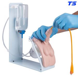 Mô Hình Thông Tiểu Nam - 1020232 - 3B