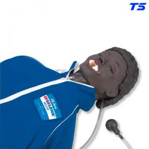 Mô Hình Hà Hơi Thổi Ngạt Ép Tim Lồng Ngực Có Đèn Hiển Thị - W44070 - 3B