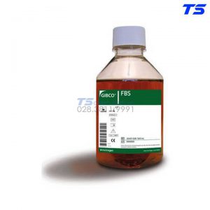 Hóa chất Newborn Calf Serum, New Zealand origin - Fisher