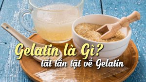 Gelatin Là Gì? Công dụng, cách sử dụng, bảo quản và nơi bán Gelatin uy tín