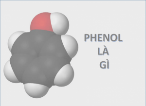 Phenol là gì? Tính chất, điều chế, công dụng và lưu ý khi sử dụng hóa chất này