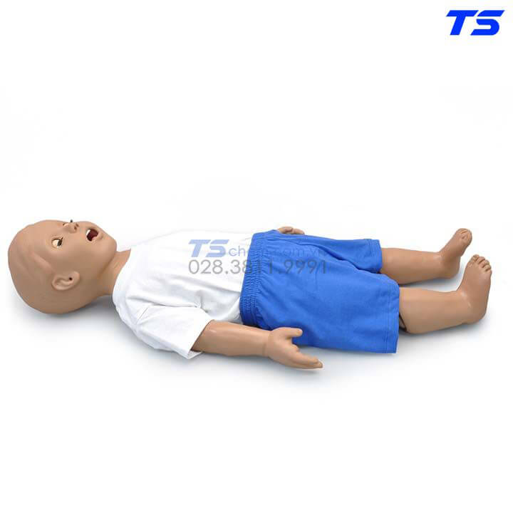 Những món đồ chơi mô hình cho bé hình nhân vật  Tại Kids Plaza