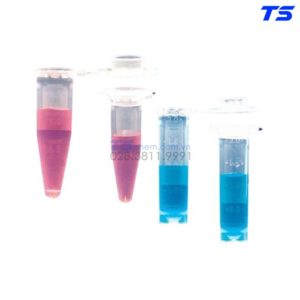 Ống Nghiệm Eppendorf (500Cái/Gói) - 078.03 - Isolab