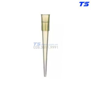 Đầu típ Qiujing - Joanlab