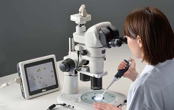 Hướng dẫn cách sử dụng kính hiển vi soi nổi