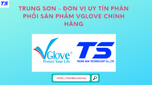 Trung Sơn - Đơn Vị Uy Tín Phân Phối Sản Phẩm Vglove Chính Hãng