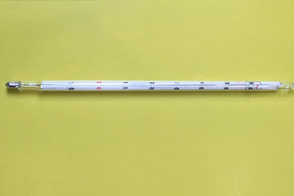 Nhiệt kế thủy ngân thang đo -10°C đến 60°C - Amarell - G10004